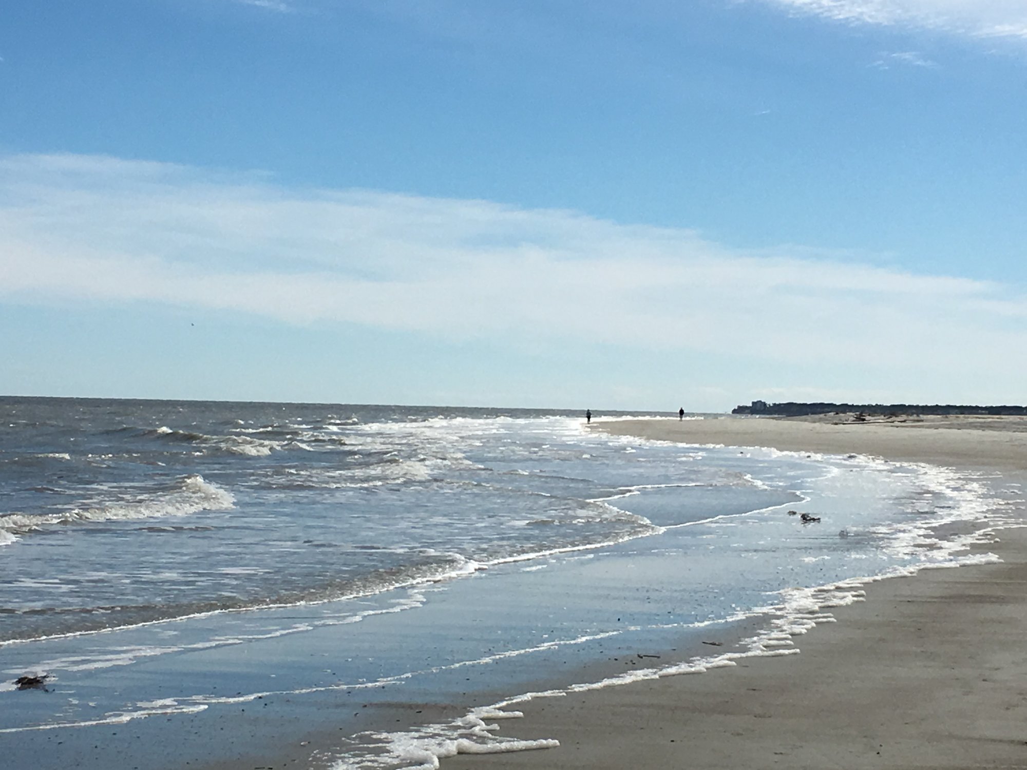 Hilton Head Island_beach_loggerhead turtles_conservation_McVey Real Estate_Dunes Real Estate